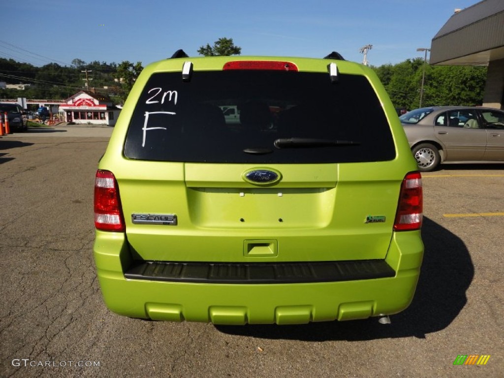 Lime Squeeze Metallic 2011 Ford Escape XLT V6 4WD Exterior Photo #51241139
