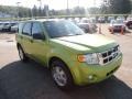 2011 Lime Squeeze Metallic Ford Escape XLT V6 4WD  photo #6