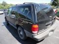 1999 Black Clearcoat Ford Explorer XLT 4x4  photo #3