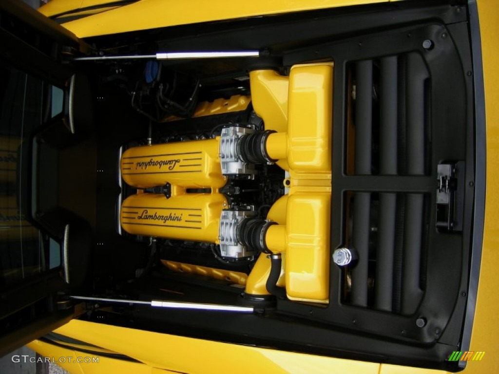 2007 Lamborghini Gallardo Coupe 5.0 Liter DOHC 40-Valve VVT V10 Engine Photo #51245014