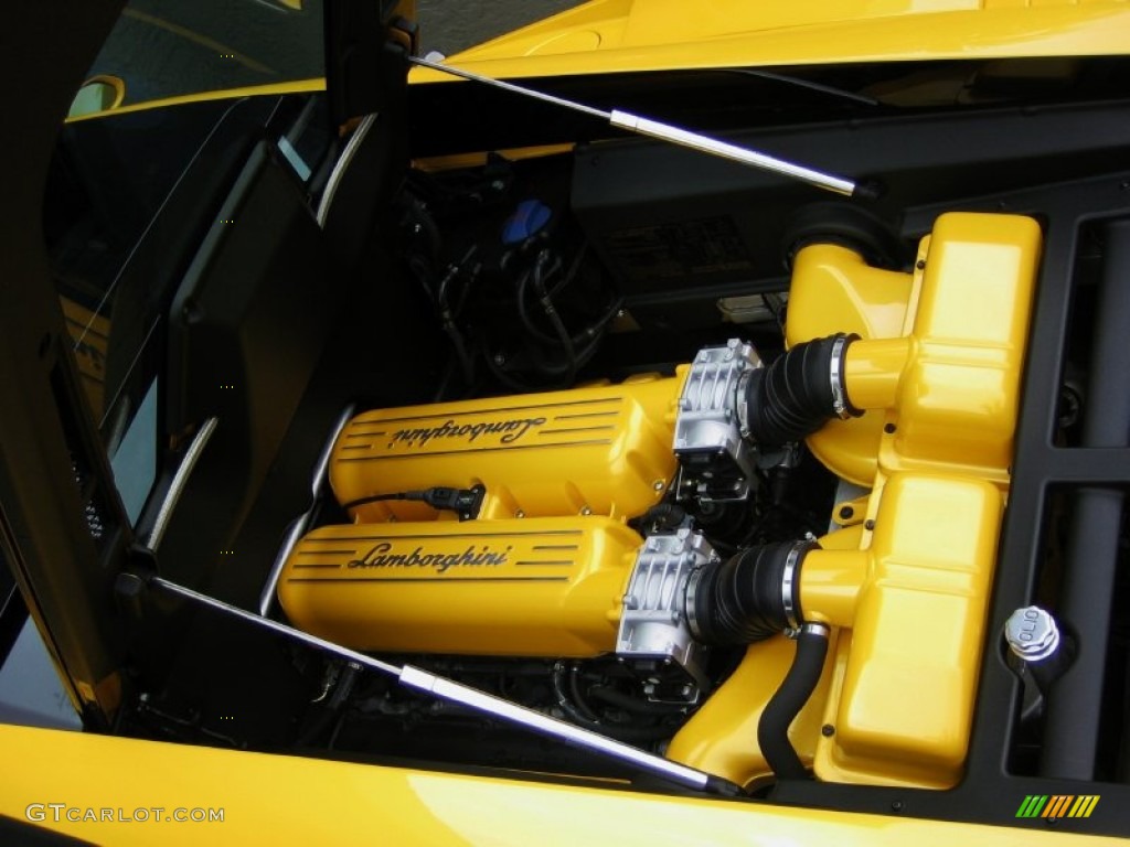 2007 Lamborghini Gallardo Coupe 5.0 Liter DOHC 40-Valve VVT V10 Engine Photo #51245029