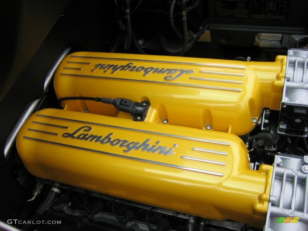 2007 Lamborghini Gallardo Coupe 5.0 Liter DOHC 40-Valve VVT V10 Engine Photo #51245044