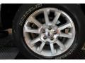 Dark Stone Metallic - Explorer Sport Trac Limited 4x4 Photo No. 20