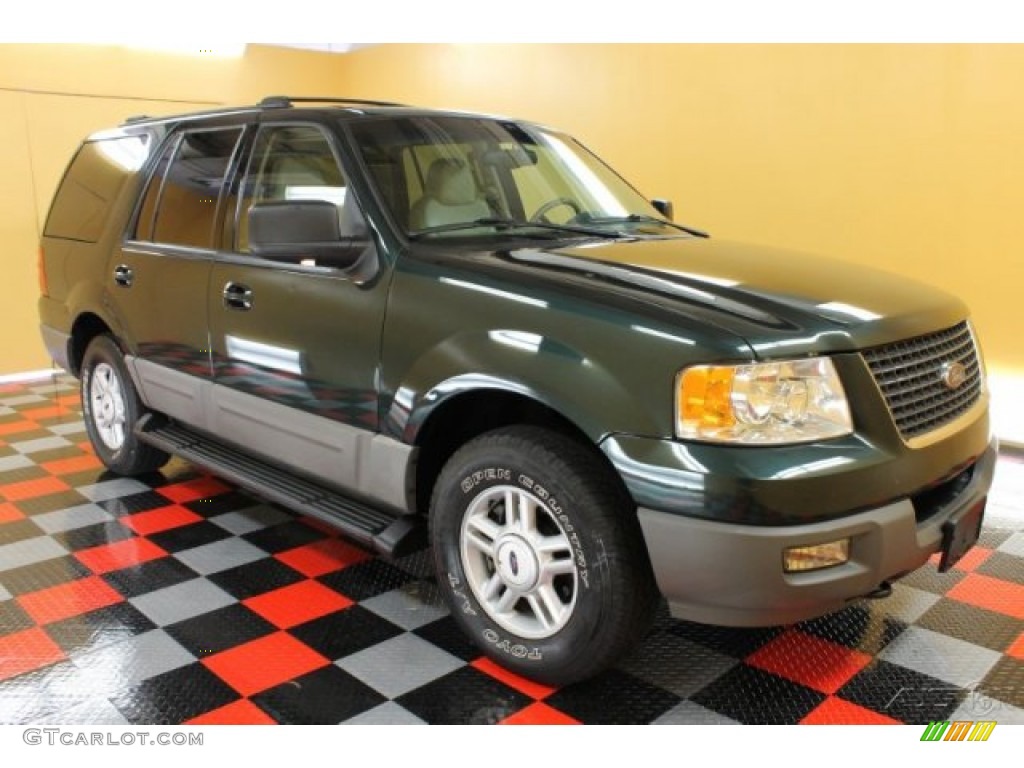 2003 Expedition XLT 4x4 - Aspen Green Metallic / Medium Parchment photo #1