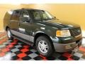 2003 Aspen Green Metallic Ford Expedition XLT 4x4  photo #1
