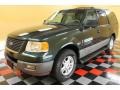 2003 Aspen Green Metallic Ford Expedition XLT 4x4  photo #2
