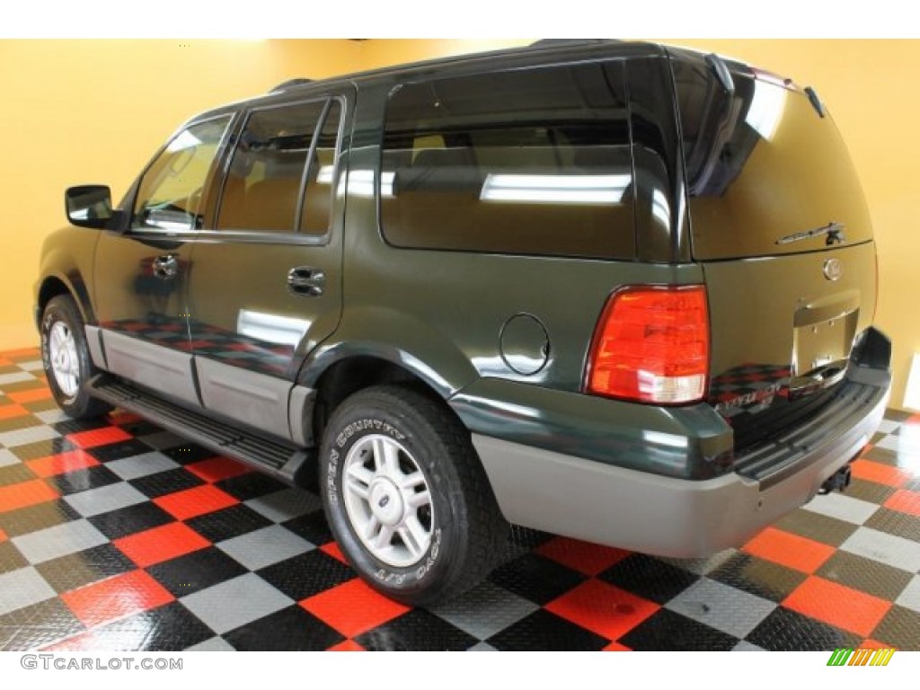 2003 Expedition XLT 4x4 - Aspen Green Metallic / Medium Parchment photo #3
