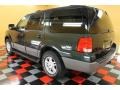 2003 Aspen Green Metallic Ford Expedition XLT 4x4  photo #3