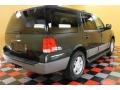 2003 Aspen Green Metallic Ford Expedition XLT 4x4  photo #4