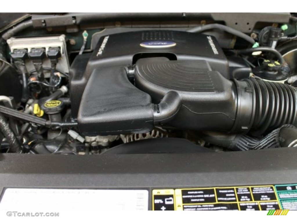2003 Ford Expedition XLT 4x4 5.4 Liter SOHC 16-Valve Triton V8 Engine Photo #51248243