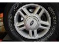 2003 Aspen Green Metallic Ford Expedition XLT 4x4  photo #18