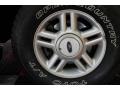 2003 Aspen Green Metallic Ford Expedition XLT 4x4  photo #21