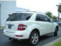 Arctic White - ML 350 4Matic Photo No. 6