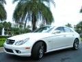 Diamond White Metallic 2010 Mercedes-Benz CLS 63 AMG Exterior