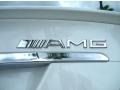 2010 Mercedes-Benz CLS 63 AMG Badge and Logo Photo