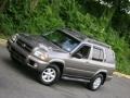 2002 Bronzed Gray Metallic Nissan Pathfinder SE 4x4  photo #24