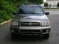 2002 Bronzed Gray Metallic Nissan Pathfinder SE 4x4  photo #28