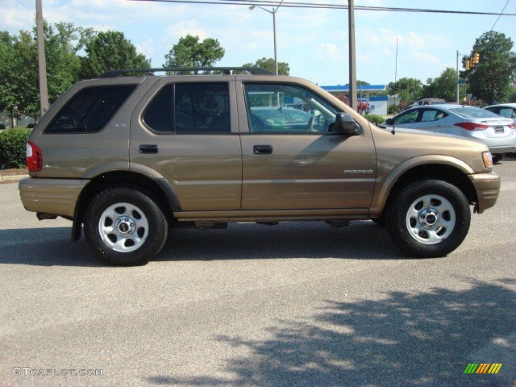 Star Gold Metallic 2002 Isuzu Rodeo S Exterior Photo #51266153
