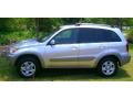 Titanium Metallic - RAV4  Photo No. 3