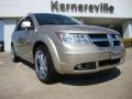 2009 Light Sandstone Metallic Dodge Journey R/T  photo #1