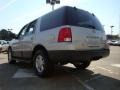 2005 Silver Birch Metallic Ford Expedition XLT  photo #5