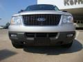 2005 Silver Birch Metallic Ford Expedition XLT  photo #8