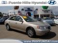 Silk Beige Metallic 2009 Hyundai Azera Limited