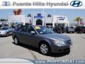 Willow Gray - Sonata GLS Photo No. 1