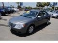 Willow Gray - Sonata GLS Photo No. 31