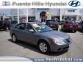 Willow Gray - Sonata GLS Photo No. 1