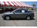 Willow Gray - Sonata GLS Photo No. 25