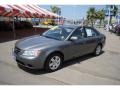Willow Gray - Sonata GLS Photo No. 29
