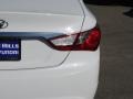 Pearl White - Sonata GLS Photo No. 17