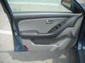 Gray 2007 Hyundai Elantra GLS Sedan Door Panel