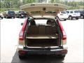 2007 Borrego Beige Metallic Honda CR-V EX 4WD  photo #7