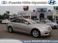 Camel Pearl - Sonata GLS Photo No. 1