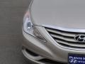 Camel Pearl - Sonata GLS Photo No. 3