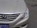 Camel Pearl - Sonata GLS Photo No. 4