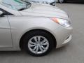 Camel Pearl - Sonata GLS Photo No. 6