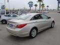 Camel Pearl - Sonata GLS Photo No. 14