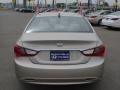 Camel Pearl - Sonata GLS Photo No. 15