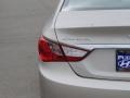 Camel Pearl - Sonata GLS Photo No. 16