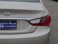 Camel Pearl - Sonata GLS Photo No. 17