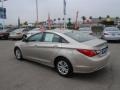 Camel Pearl - Sonata GLS Photo No. 18