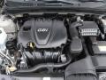 Camel Pearl - Sonata GLS Photo No. 30