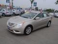 Camel Pearl - Sonata GLS Photo No. 31