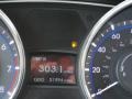 Camel Pearl - Sonata GLS Photo No. 32