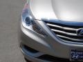 Camel Pearl - Sonata GLS Photo No. 3
