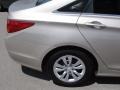 Camel Pearl - Sonata GLS Photo No. 13
