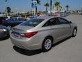Camel Pearl - Sonata GLS Photo No. 14